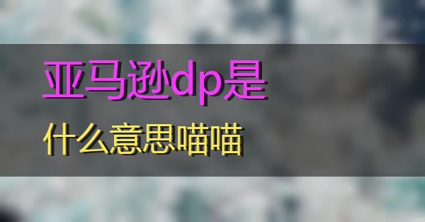 亚马逊dp是什么意思的相关图片