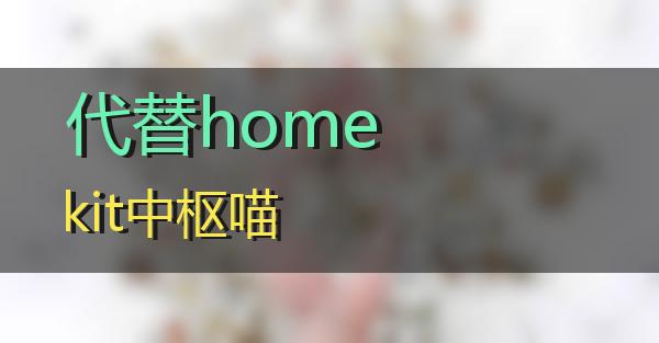 代替homekit中枢的相关图片