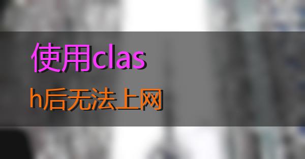 使用clash后无法上网的相关图片