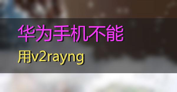 华为手机不能用v2rayng的相关图片