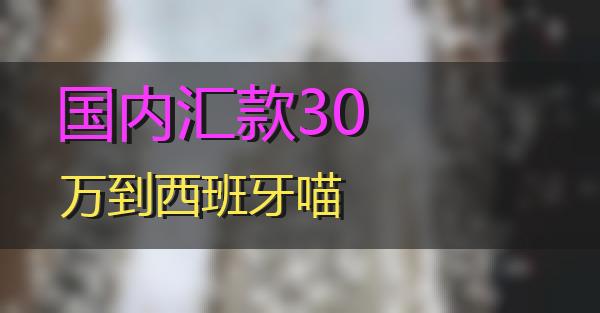 国内汇款30万到西班牙的相关图片