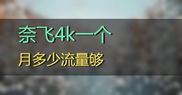 奈飞4k一个月多少流量够的相关图片