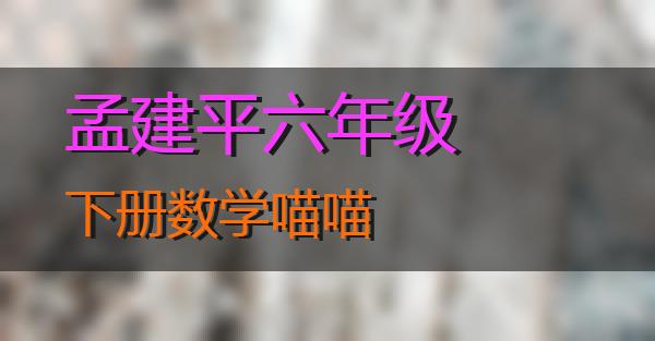 孟建平六年级下册数学的相关图片