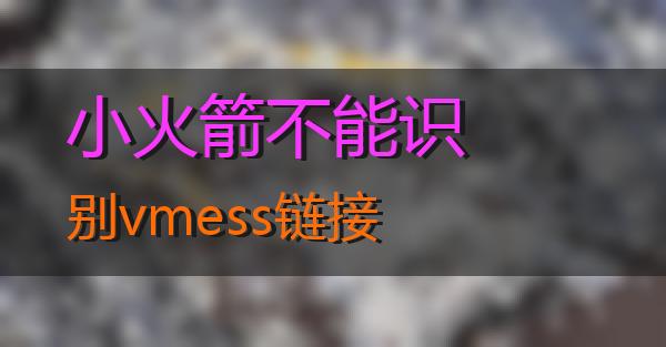 小火箭不能识别vmess链接的相关图片