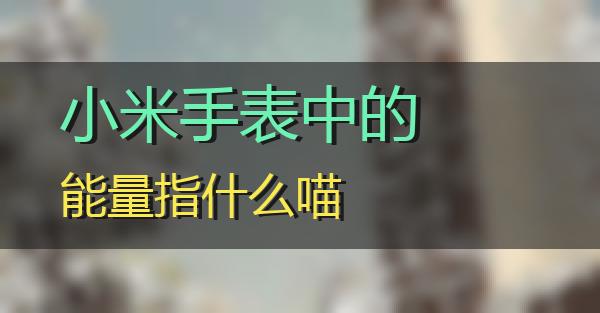 小米手表中的能量指什么的相关图片