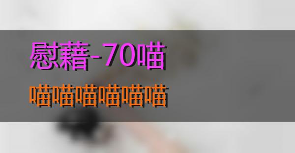 慰藉-70的相关图片