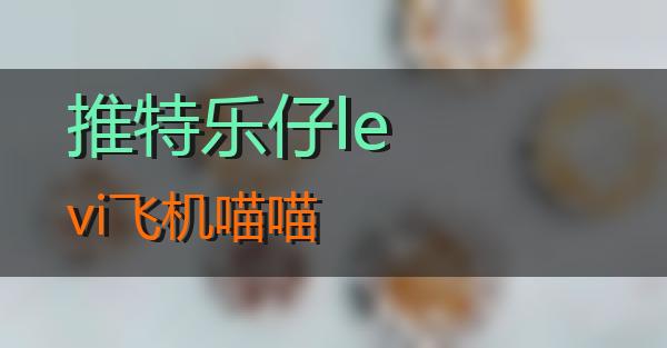 推特乐仔levi飞机的相关图片