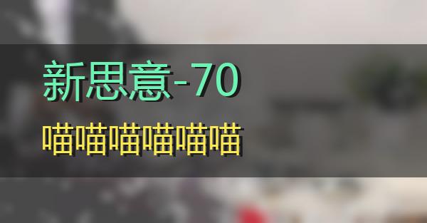 新思意-70的相关图片