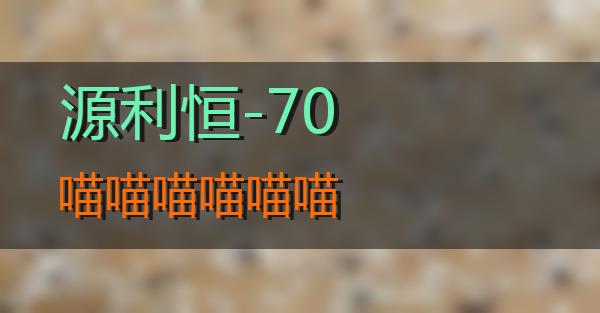 源利恒-70的相关图片