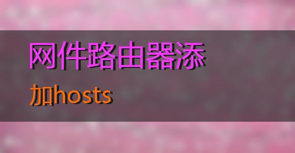 网件路由器添加hosts的相关图片