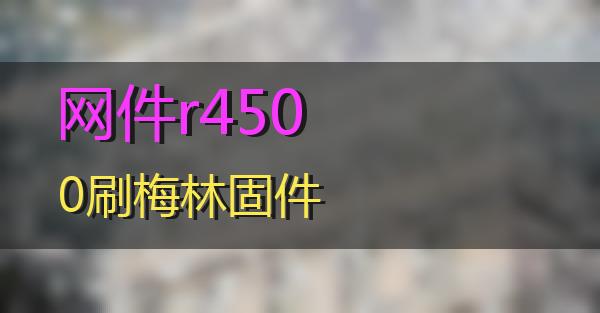 网件r4500刷梅林固件的相关图片