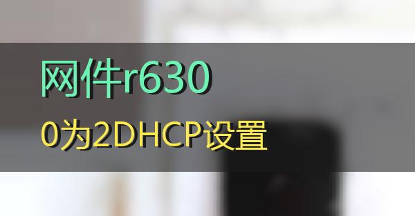 网件r6300为2DHCP设置的相关图片