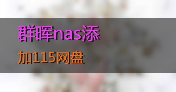 群晖nas添加115网盘的相关图片