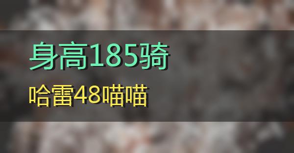 身高185骑哈雷48的相关图片