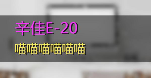 辛佳E-20的相关图片