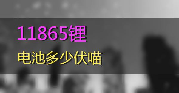 11865锂电池多少伏的相关图片