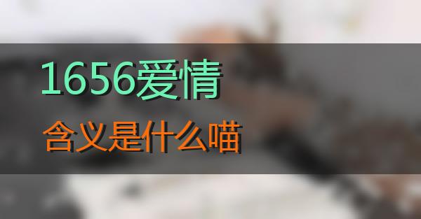 1656爱情含义是什么的相关图片