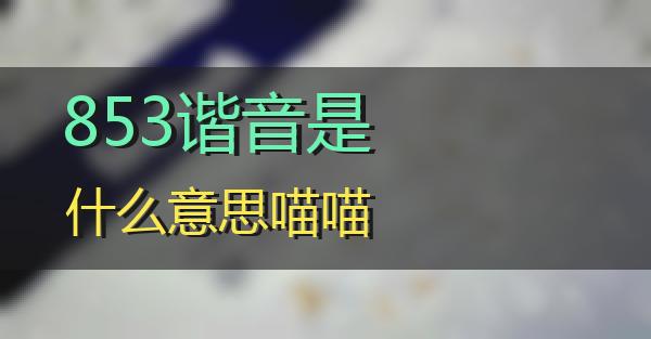 853谐音是什么意思的相关图片