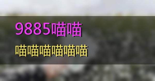 9885的相关图片