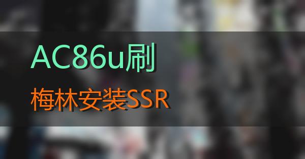 AC86u刷梅林安装SSR的相关图片