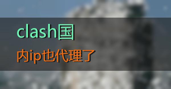 clash国内ip也代理了的相关图片