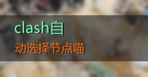 clash自动选择节点的相关图片