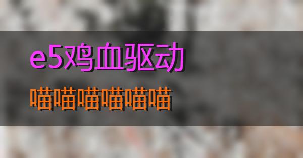 e5鸡血驱动的相关图片