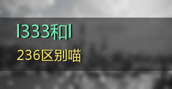 l333和l236区别的相关图片