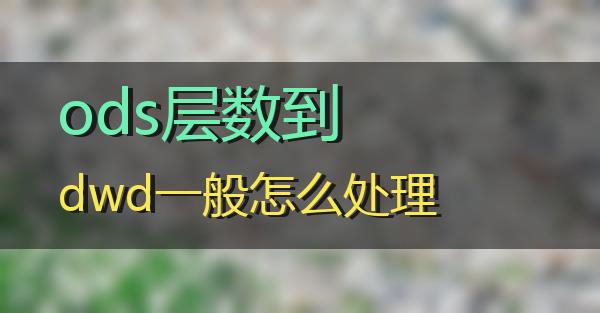 ods层数到dwd一般怎么处理的相关图片