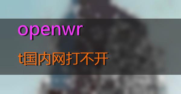 openwrt国内网打不开的相关图片