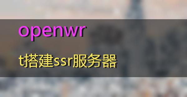 openwrt搭建ssr服务器的相关图片