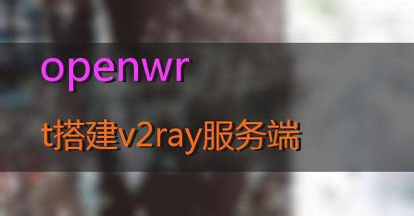 openwrt搭建v2ray服务端的相关图片