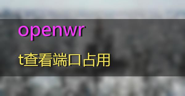 openwrt查看端口占用的相关图片