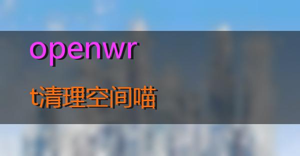 openwrt清理空间的相关图片