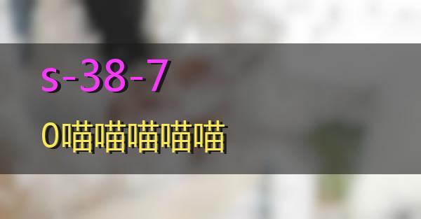 s-38-70的相关图片