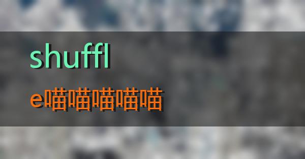 shuffle的相关图片