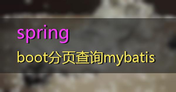 springboot分页查询mybatis的相关图片