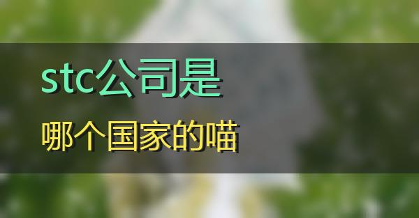 stc公司是哪个国家的的相关图片