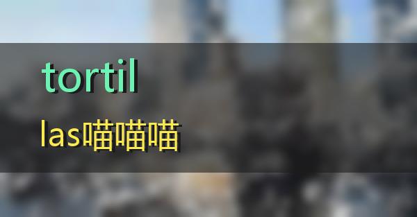 tortillas的相关图片