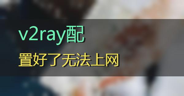 v2ray配置好了无法上网的相关图片