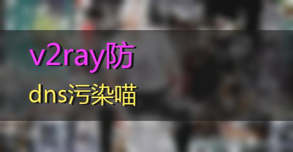 v2ray防dns污染的相关图片