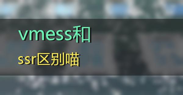 vmess和ssr区别的相关图片