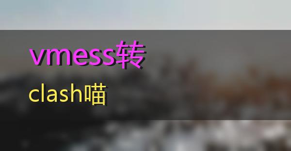 vmess转clash的相关图片