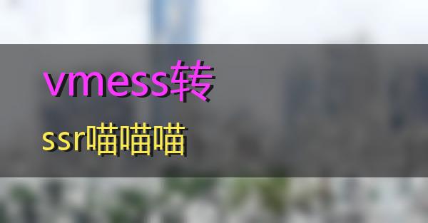 vmess转ssr的相关图片