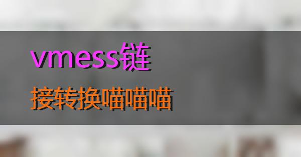 vmess链接转换的相关图片